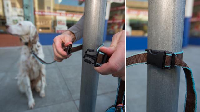 Behold The Cleverest Dog Leash We’ve Ever Seen