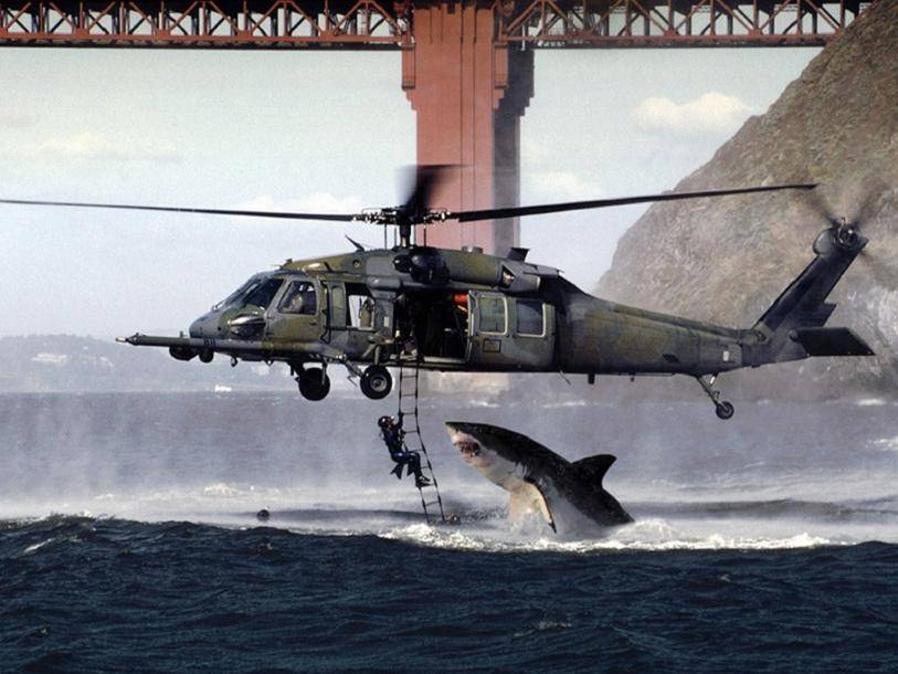 This Soldier-Dangling-Above-A-Shark Photo Is Actually Real