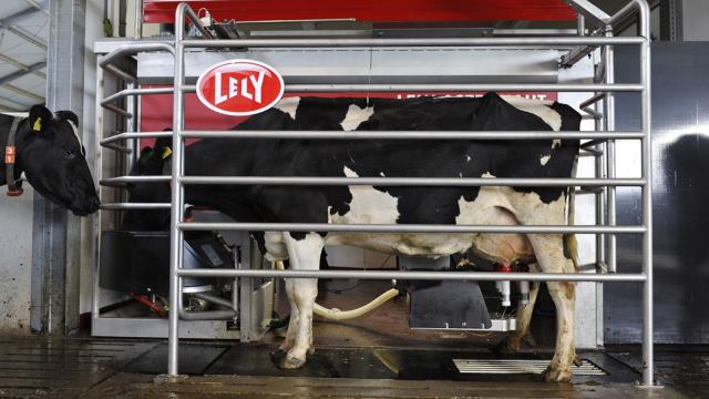 Monster Machines: This Laser-Guided Robo-Milker Is The Future Of Dairy