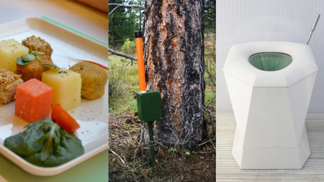 Can Bugs, Toilets And Mushrooms Change The World?
