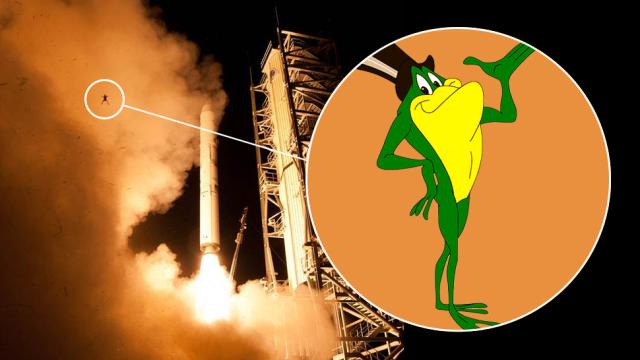 A Frog Got Too Close To A NASA Launch And, Well, This Happened