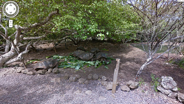 You Can Now Explore The Galapagos Islands With Google Street View