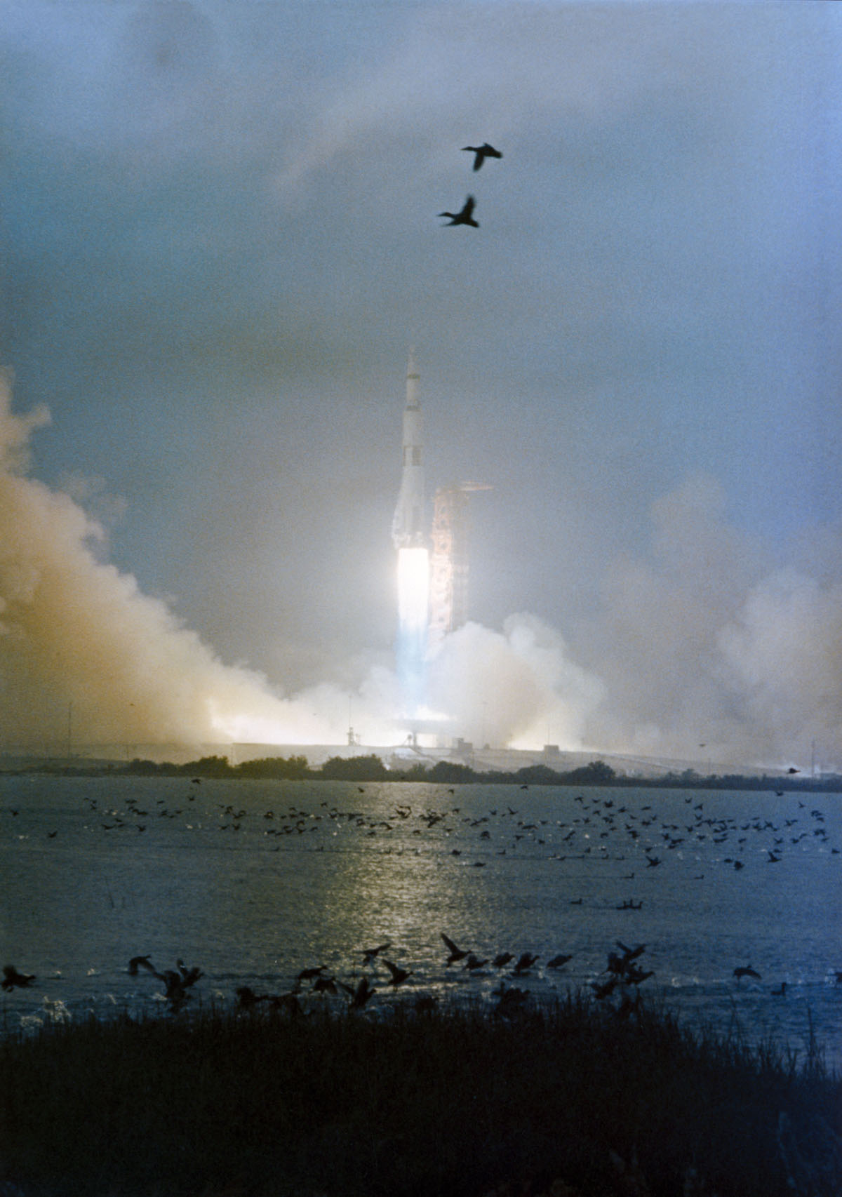 A Brief History Of Animals And Rocket Launches Not Getting Along