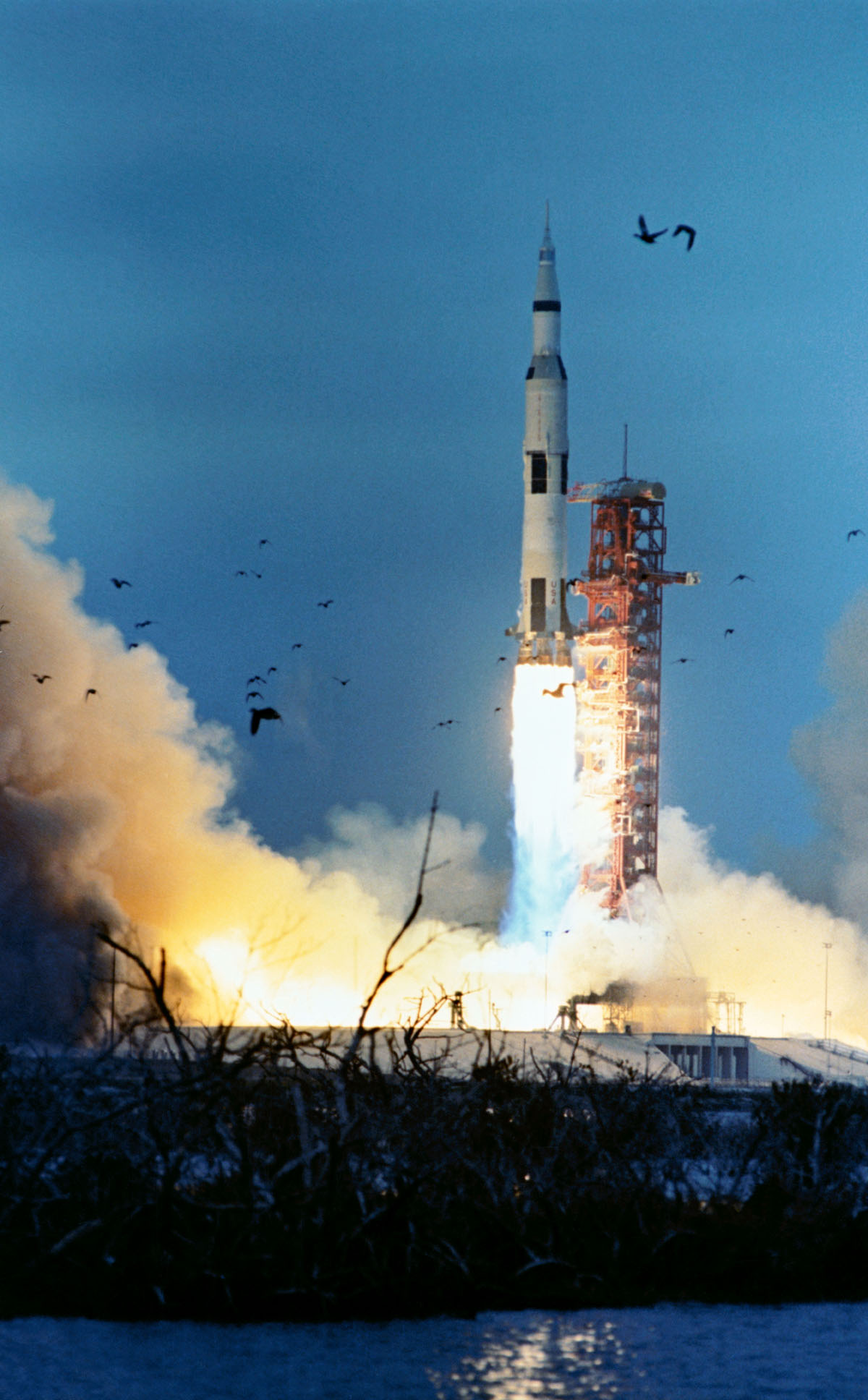A Brief History Of Animals And Rocket Launches Not Getting Along