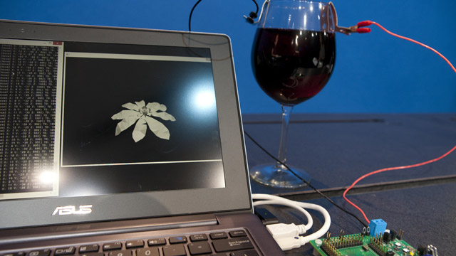 Intel Makes Processor Powered By Wine