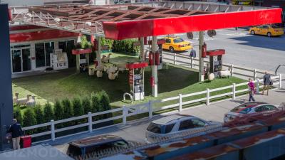 This Petrol Station Is Home To A Temporary Sheep Pasture