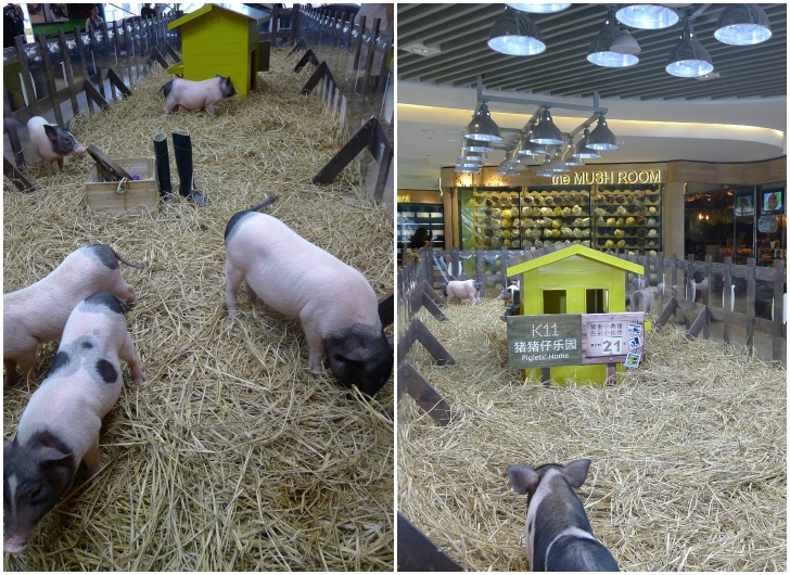 An Urban Farm In The Most Unlikely Location: A Shanghai Shopping Centre