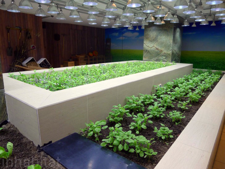 An Urban Farm In The Most Unlikely Location: A Shanghai Shopping Centre