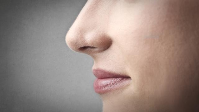 Scientists Successfully ‘Erase’ Fear Using Scent Therapy