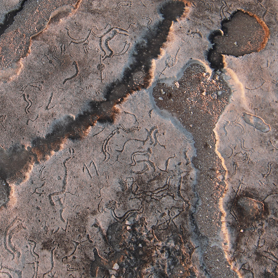 36-Gigapixel Image Captures Ancient Petroglyphs