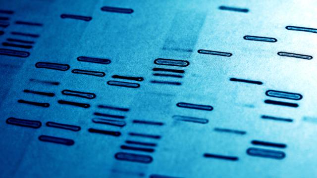 Engineers Have Invented A Programming Language To Build DNA
