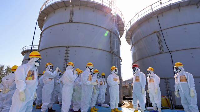 TEPCO Just Spilled Tonnes Of Radioactive Water Into Fukushima’s Soil
