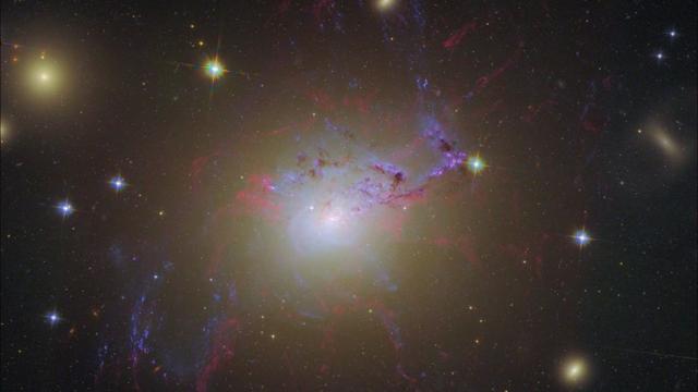 These Stars May Look Mellow But They’re Resisting A Huge Black Hole