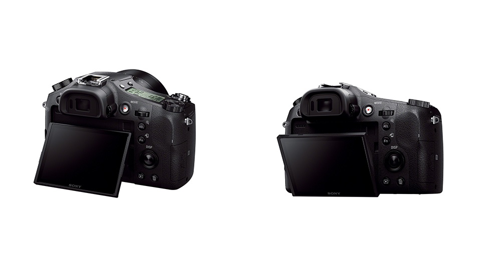 Sony RX10: A Loaded, Long-Zoom Camera With A Killer Sensor