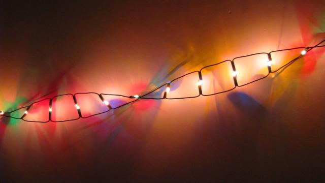 Discovery Of DNA ‘Biological Clock’ Could Get Us Closer To Immortality