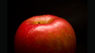 Did An Inspirational Apple Really Fall On Newton’s Head?
