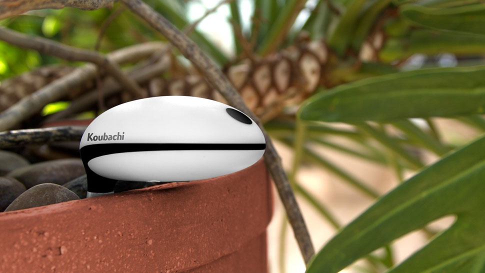 These Systems Let You Monitor Your Garden Without Setting Foot Outside