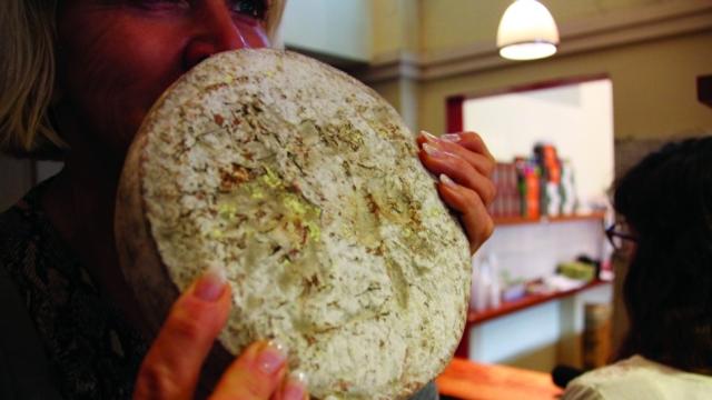 Would You Eat This Cheese Made From Human Armpit Sweat?
