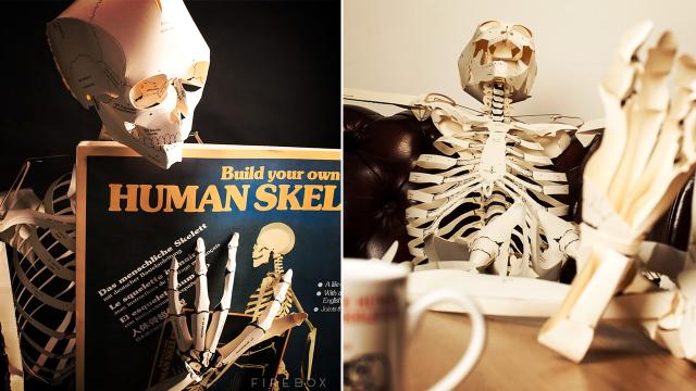 Cramming For Anatomy Is Easier When Your Book Turns Into A Skeleton
