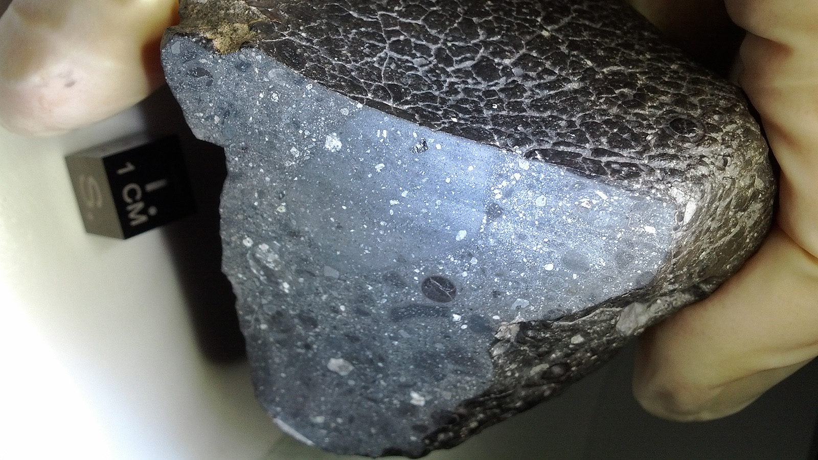 30 Starry Wonders Hiding Inside Of Dull Meteorites