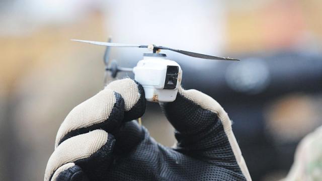 An Adorably Tiny Reconnaissance Drone No Larger Than A Dragonfly