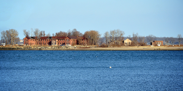 What We Found At Hart Island, The Largest Mass Grave Site In The US