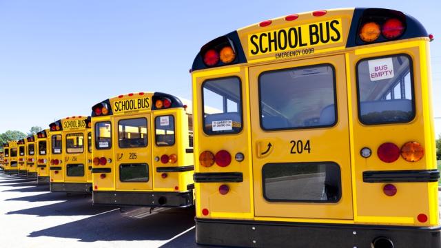 Why North American School Buses Are Yellow
