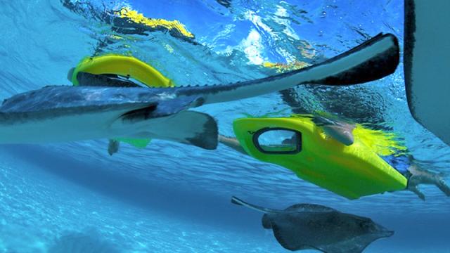 A Kick Board With A View Lets You Snorkel Without Submerging