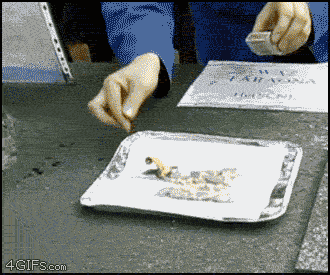 6 Chemical Reaction GIFs That Will Make You A Smarter Person