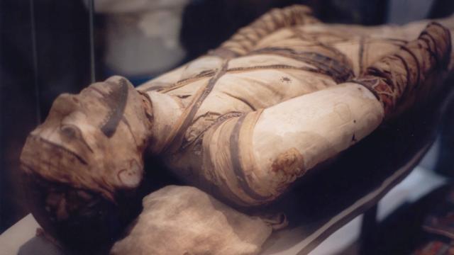How Ancient Embalmers Pulled The Brains And Guts Out Of Mummies
