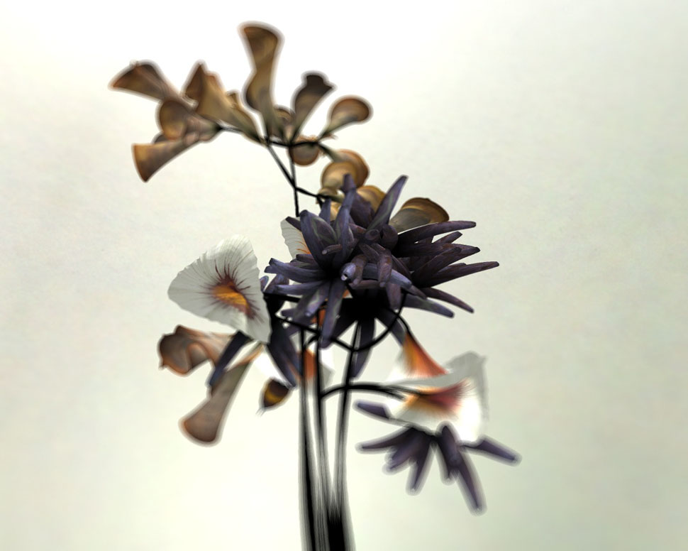 These Beautifully Realistic Flowers Are Actually Pure Code