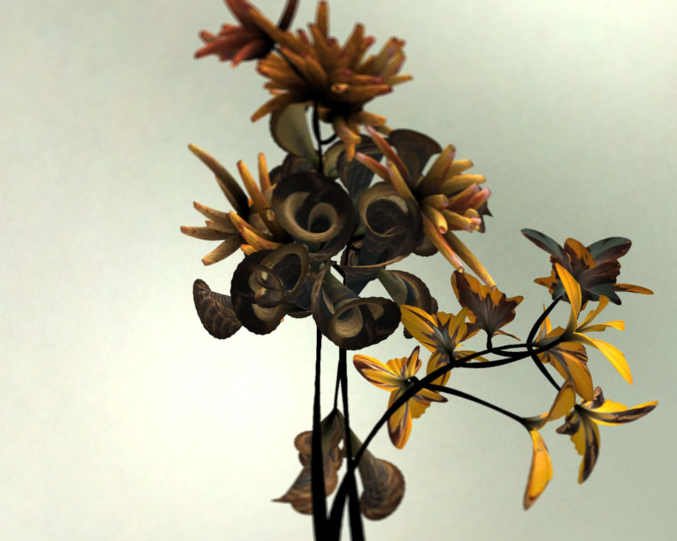 These Beautifully Realistic Flowers Are Actually Pure Code