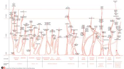 The Complex Relationships Between Bourbons, Visualised