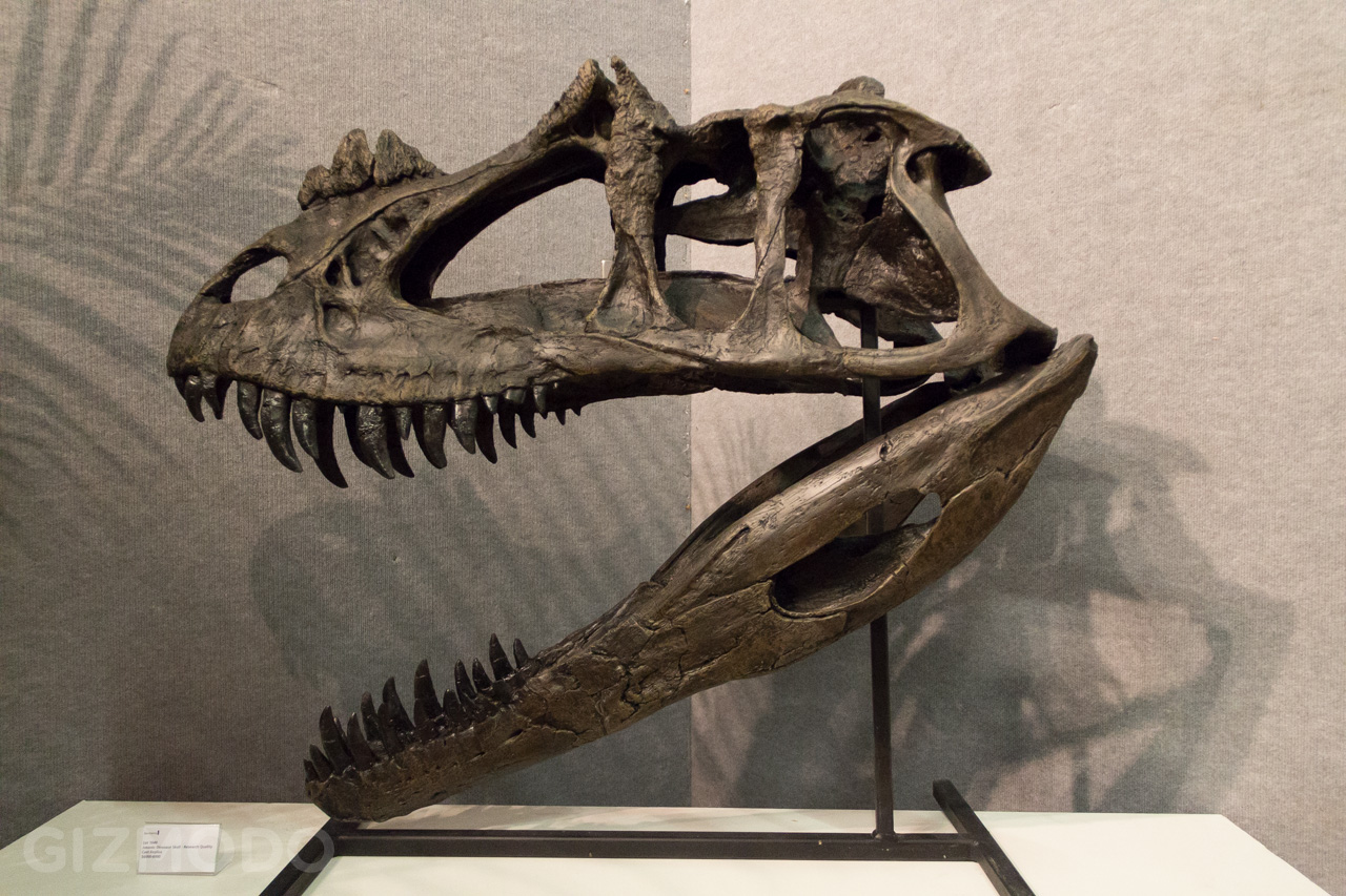 Ancient Bones And Millionaires: Dinosaurs For Sale