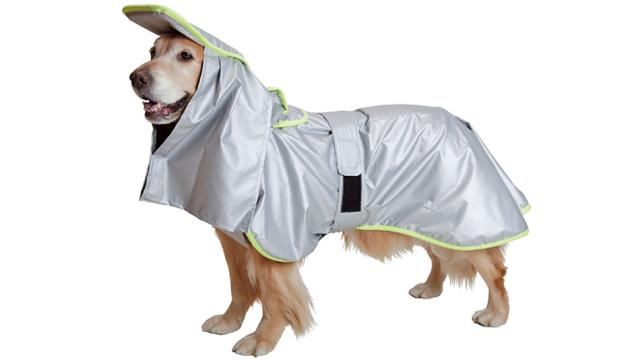 Fire And Shockproof Coats Protect Your Pooch During A Natural Disaster
