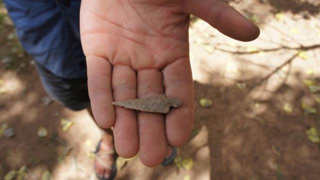 Stone-Tipped Spears Pre-Date The Human Race