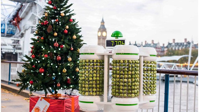 This Christmas Tree Is Lit By 1000 Brussels Sprouts
