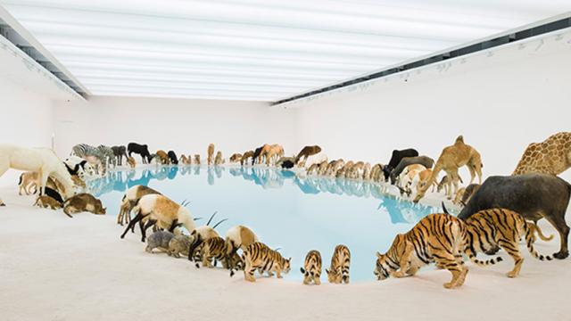 Surreal Image: 99 Wild Animals Drinking From A Pool
