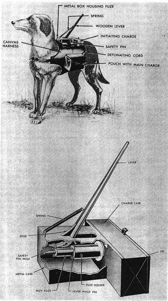 Exploding Dogs Were Used As Mobile Anti-Tank Mines During World War II