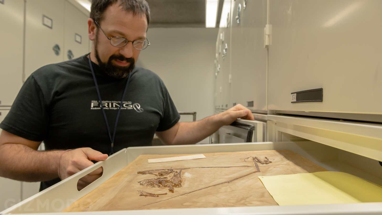 How The AMNH Is Using 3D Printing To Copy Dinosaur Bones