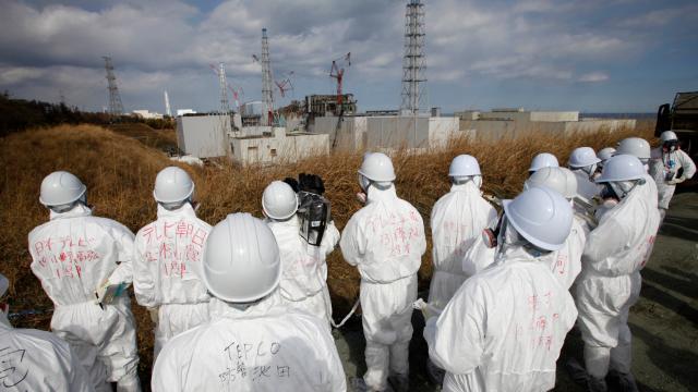Japan’s Billion-Dollar Plan To Store Its Contaminated Fukushima Dirt15