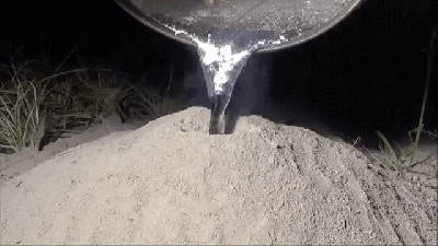 Pouring Hot Aluminium Into An Ant Hill Reveals Its Secret Hidden Beauty