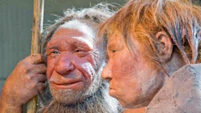 New DNA Sequence Shows That Neanderthals Liked Incest