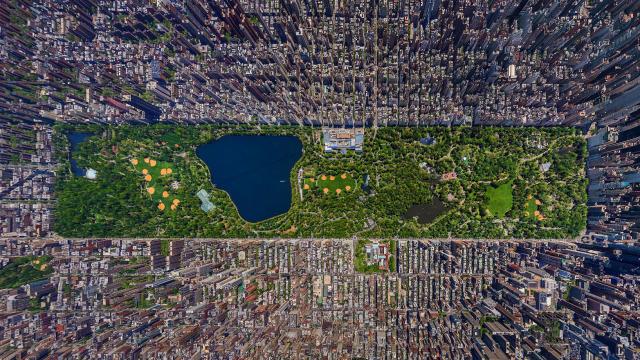 I Can’t Believe This Is A Photo Of Central Park
