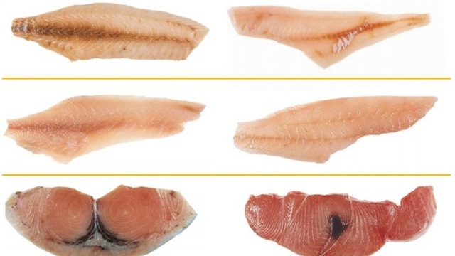 The Fish You’re Eating Might Not Actually Be The Fish You Think