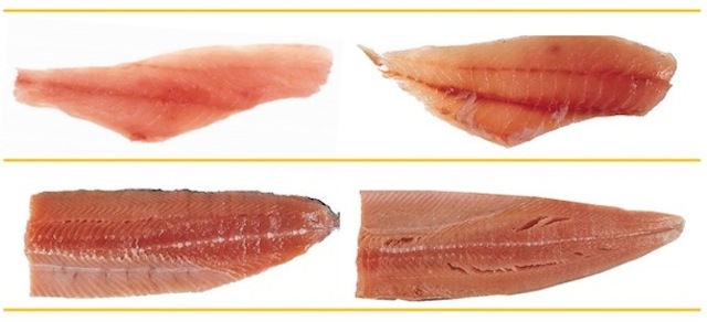 The Fish You’re Eating Might Not Actually Be The Fish You Think