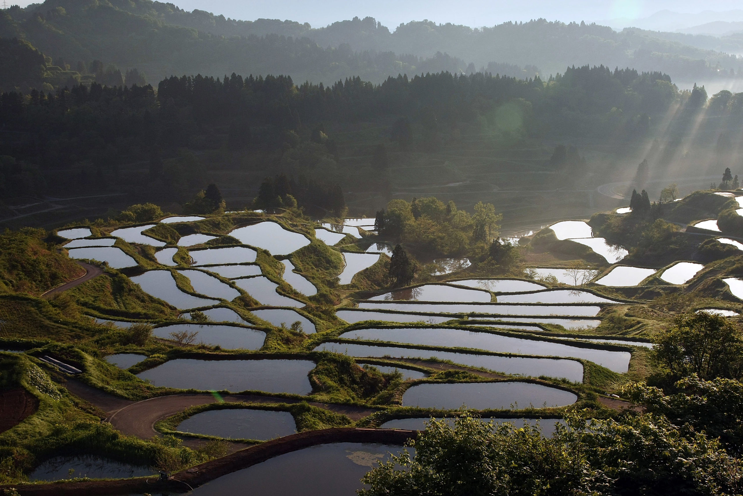This Gorgeous Stained Glass Landscape Is Actually A Rice Field