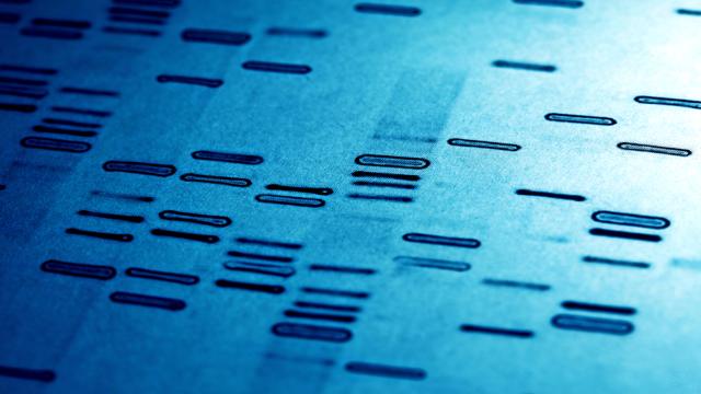 It’s Time To Talk About Who Can Access Your Digital Genomic Data