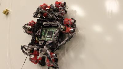 This Gecko-Inspired Wall-Crawling Robot Will Someday Repair Spaceships