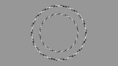 These Obviously Irregular Rings Are Actually Perfectly Round Circles